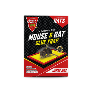 Faster Black Cobra Mouse & Rat Glue Trap