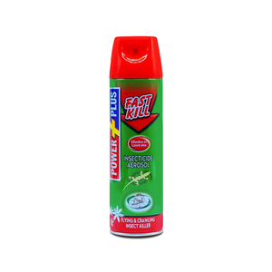 Power Plus Fast Kill  Insecticide Aerosol Spray Green