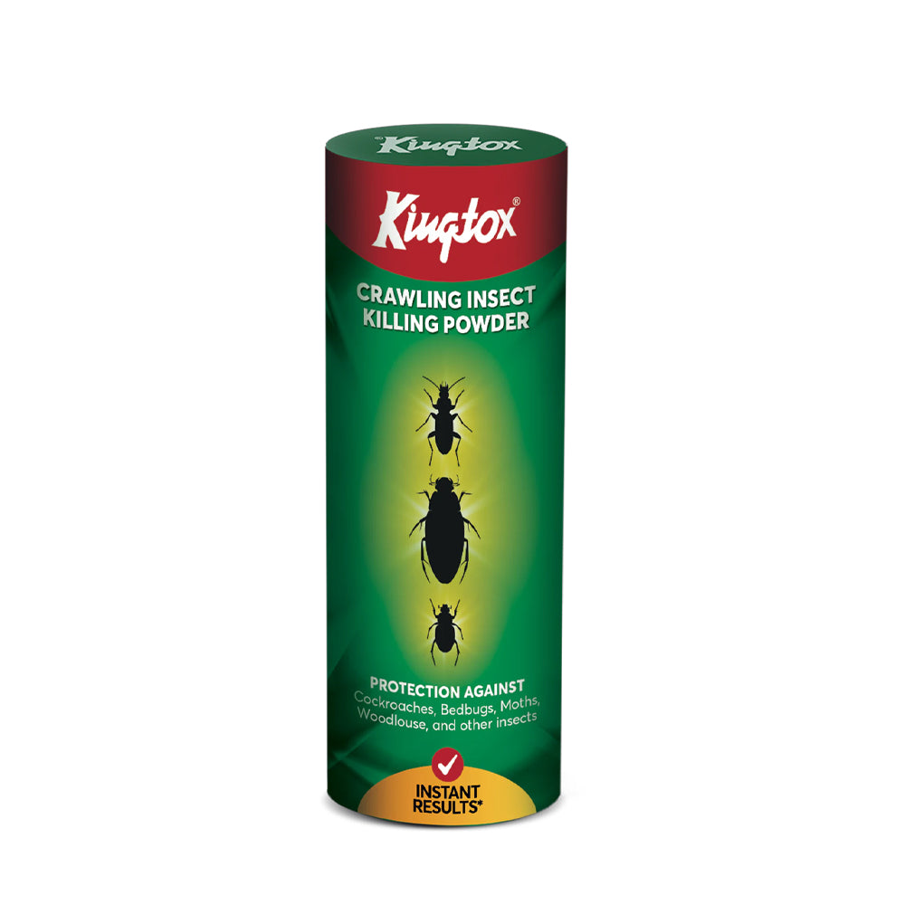 Kingtox Crawling Insect Powder 125gm