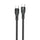Westpoint Data Cable C to C 2M WP-351