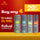 Men's Everyday Freshness 4-Pack